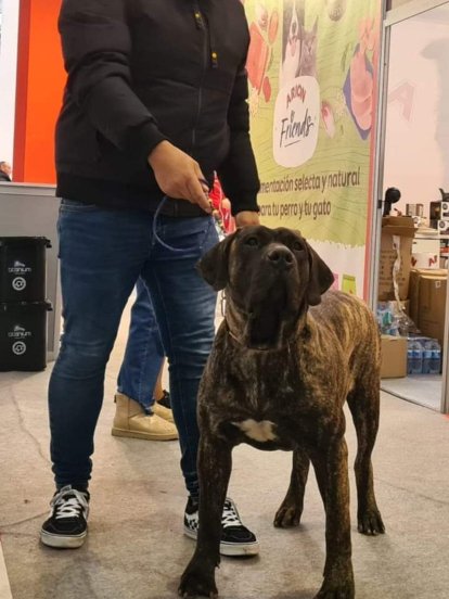 Covadonga, con Laureano Álvarez