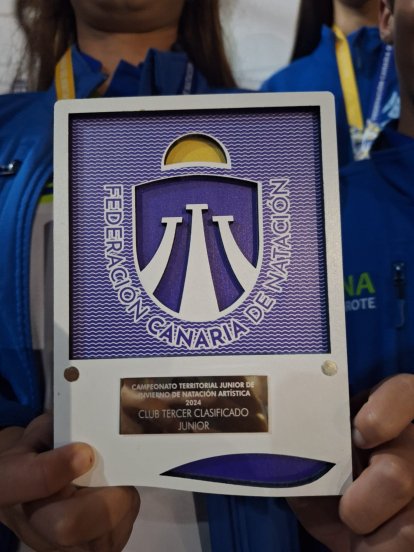 El CD de Natación Pingüinos de Arrecife arrasa en el Campeonato Regional de Natación Artística