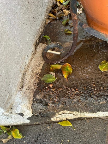 Vecinos del centro de Arrecife denuncian la presencia de orines, excrementos y vómitos en sus calles