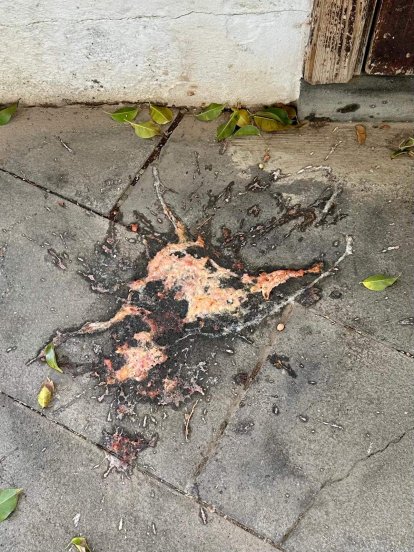 Vecinos del centro de Arrecife denuncian la presencia de orines, excrementos y vómitos en sus calles