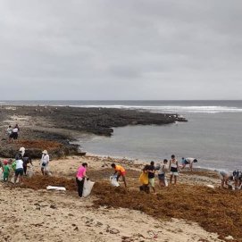 Limpieza de seba en Caleta de Caballo 