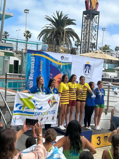 Club Deportivo Pingüinos de Arrecife