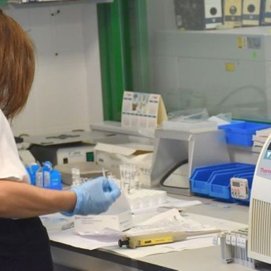 Lanzarote registra 30 nuevos positivos y tiene 265 casos activos