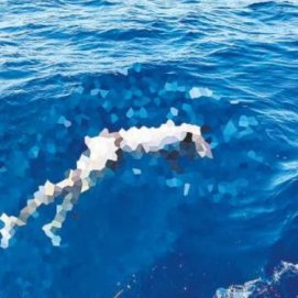 El cadáver del hombre de origen subsahariano localizado en la costa de Morro Jable