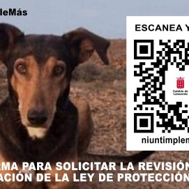 El Cabildo pedirá al Gobierno de Canarias modificar la Ley de Bienestar Animal