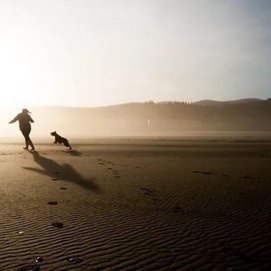 Playas para perros
