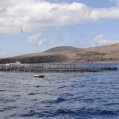 Jaulas marinas