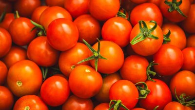Tomates