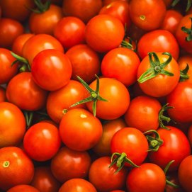 Tomates