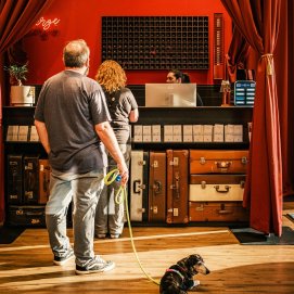 Dos turistas llegan con su perro a su hotel. Reservas. Recepción.