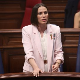 Migdalia Machín en el Parlamento de Canarias. Innovación. I+D+i