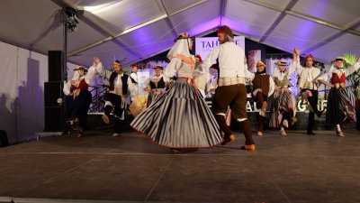 XV Festival Guagime de Tahíche (Fotos: Jordi Vispo)