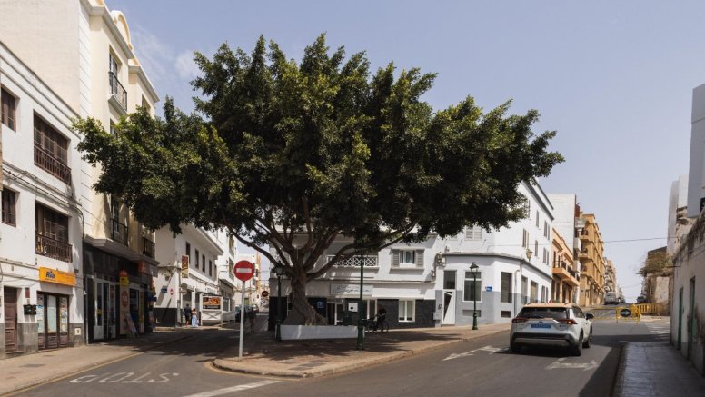 El Ayuntamiento de Arrecife informa de restricciones y desvíos del tráfico en las Cuatro Esquinas a partir del lunes 27 por las nuevas obras de pluviales