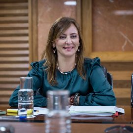 Nieves Lady Barreto, consejera de Presidencia, durante un Consejo de Gobierno