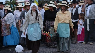 Romería Las Nieves, 2026 (Fotos: La Voz)