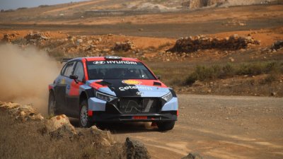 Test del Rallye Isla de los Volcanes  (22)