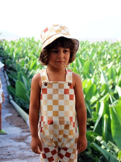 Piezas de Pequeño Palmero 2026