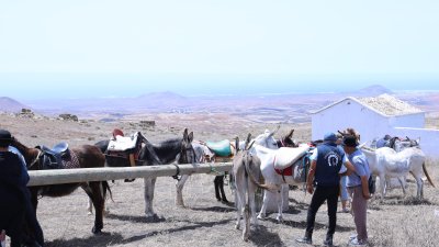 Procesión de la Virgen de Las Nieves. Foto: La Voz