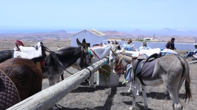 Procesión de la Virgen de Las Nieves. Foto: La Voz