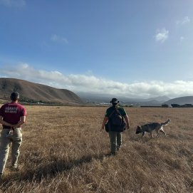 Unidad Canina en Lanzarote