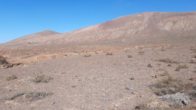 Recogida de los residuos en los alrededores del Zonzamas. Foto: Cabildo de Lanzarote
