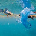 Basura marina en aguas de Lanzarote, captada en el proyecto RBMAR. Foto: Seo BirdLife.