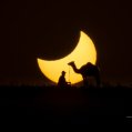 Eclipse solar en Lanzarote. Foto: Rosa García