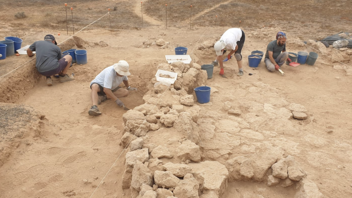 Investigadores en el yacimiento de El Bebedero. Foto: Cedida. Investigadores en el yacimiento de El Bebedero. Foto: Cedida.