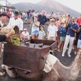Vendimia tradicional con camellos