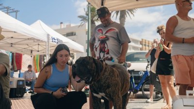 Concurso monográfico del presa canario en San Ginés, 2026