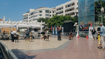 Concurso monográfico del presa canario en San Ginés, 2026