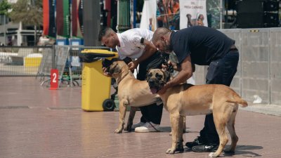 Concurso monográfico del presa canario en San Ginés, 2026