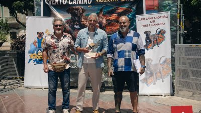 Concurso monográfico del presa canario en San Ginés, 2026