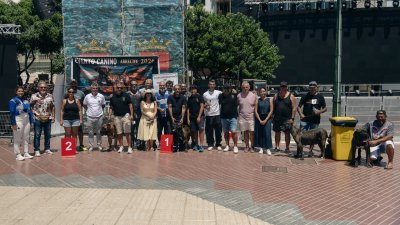 Concurso monográfico del presa canario en San Ginés, 2026