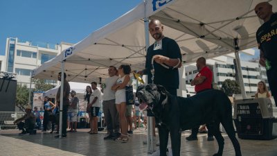 Concurso monográfico del presa canario en San Ginés, 2026
