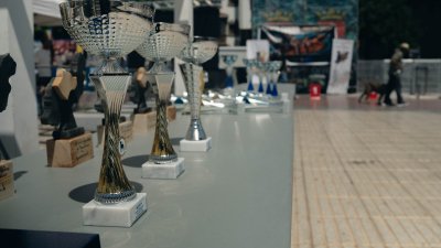 Concurso monográfico del presa canario en San Ginés, 2026