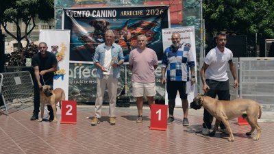 Concurso monográfico del presa canario en San Ginés, 2026
