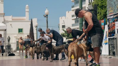 Concurso monográfico del presa canario