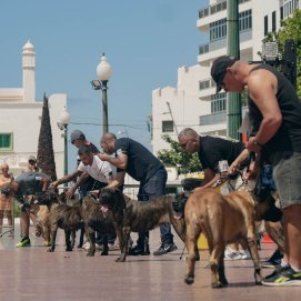 Concurso monográfico del presa canario