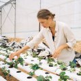 una joven agricultura en un invernadero hidropónico