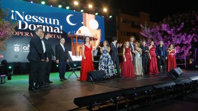 Nessun Dorma (12)