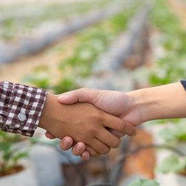 Asociaciones profesionales agrarias sin animo de lucro