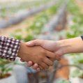 Asociaciones profesionales agrarias sin animo de lucro