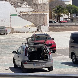 Un hombre deja tres perros en su coche en Arrecife (Fotos: Margie Retamar)