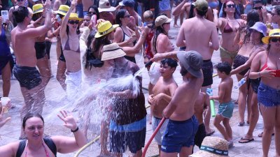 Verbena del agua en Famara, 2026