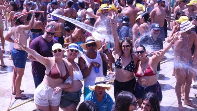 Verbena del agua en Famara, 2026