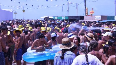 Verbena del agua en Famara, 2026