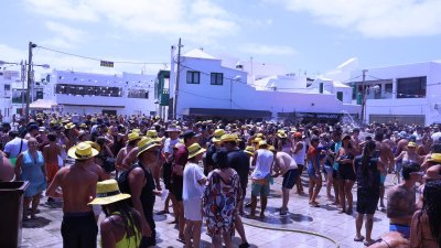 Verbena del agua en Famara, 2026