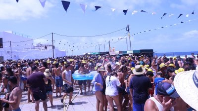 Verbena del agua en Famara, 2026