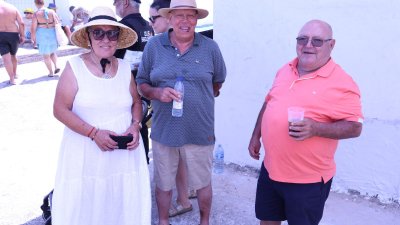 Verbena del agua en Famara, 2026